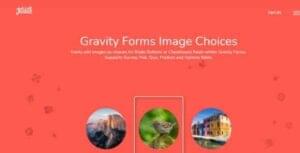 Gravity-Forms-Image-Choice